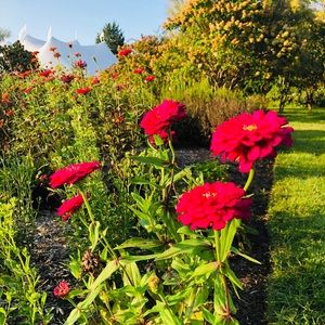 Meet your Posher, Christine